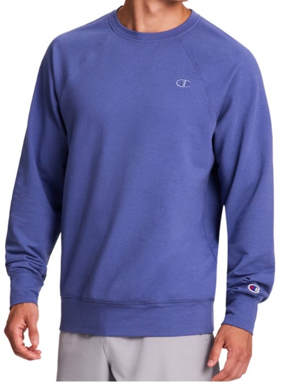 NWOT Champion Blue/periwinkle Pullover Sweatshirt